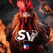 tv66 Game 01