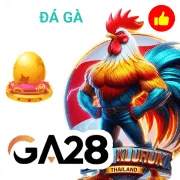 tv66 Game 11
